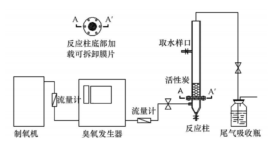 91视频免费下载+活性炭实验方案